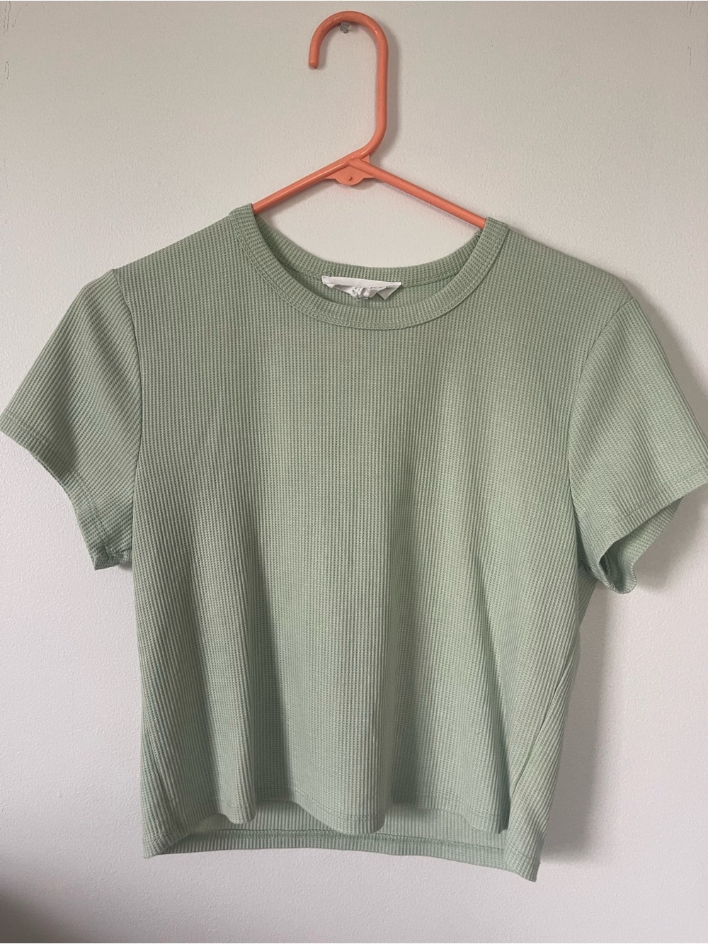 Everyday Ribbed Crop Tee - Sage Green
